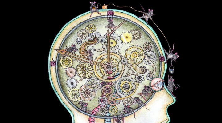 La línea de investigación está centrada en la relación entre el reloj biológico y las células del cuerpo.