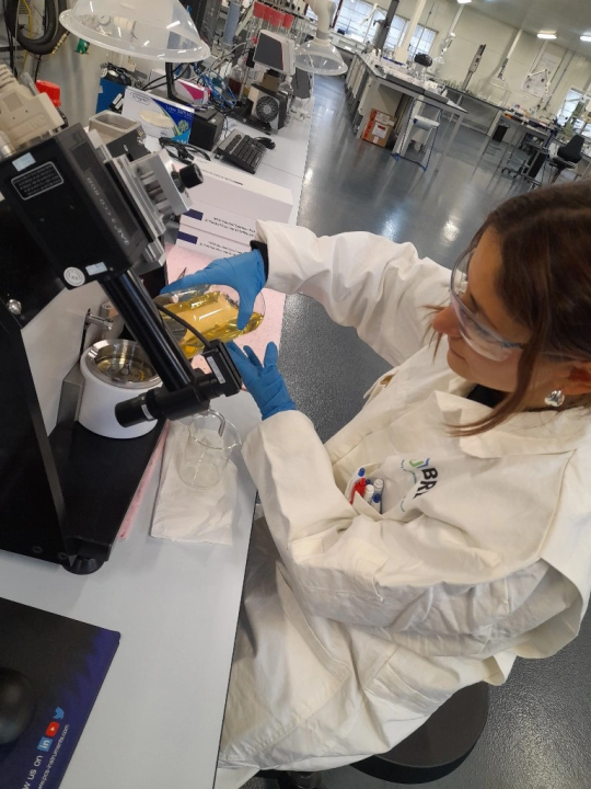 De la Patagonia al reino de Máxima, con el título de la Universidad Nacional del Sur